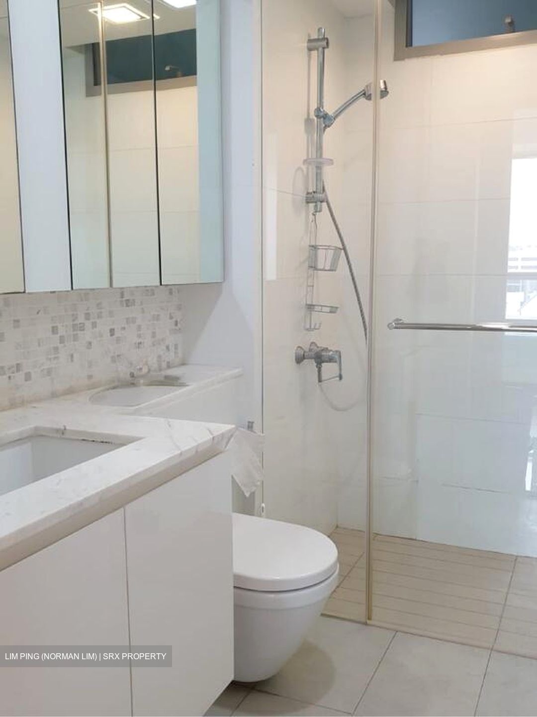 The Minton (D19), Condominium #512881821